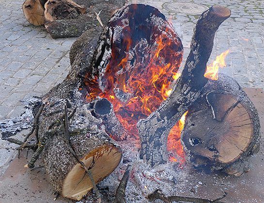 Tronco de encina ardiendo